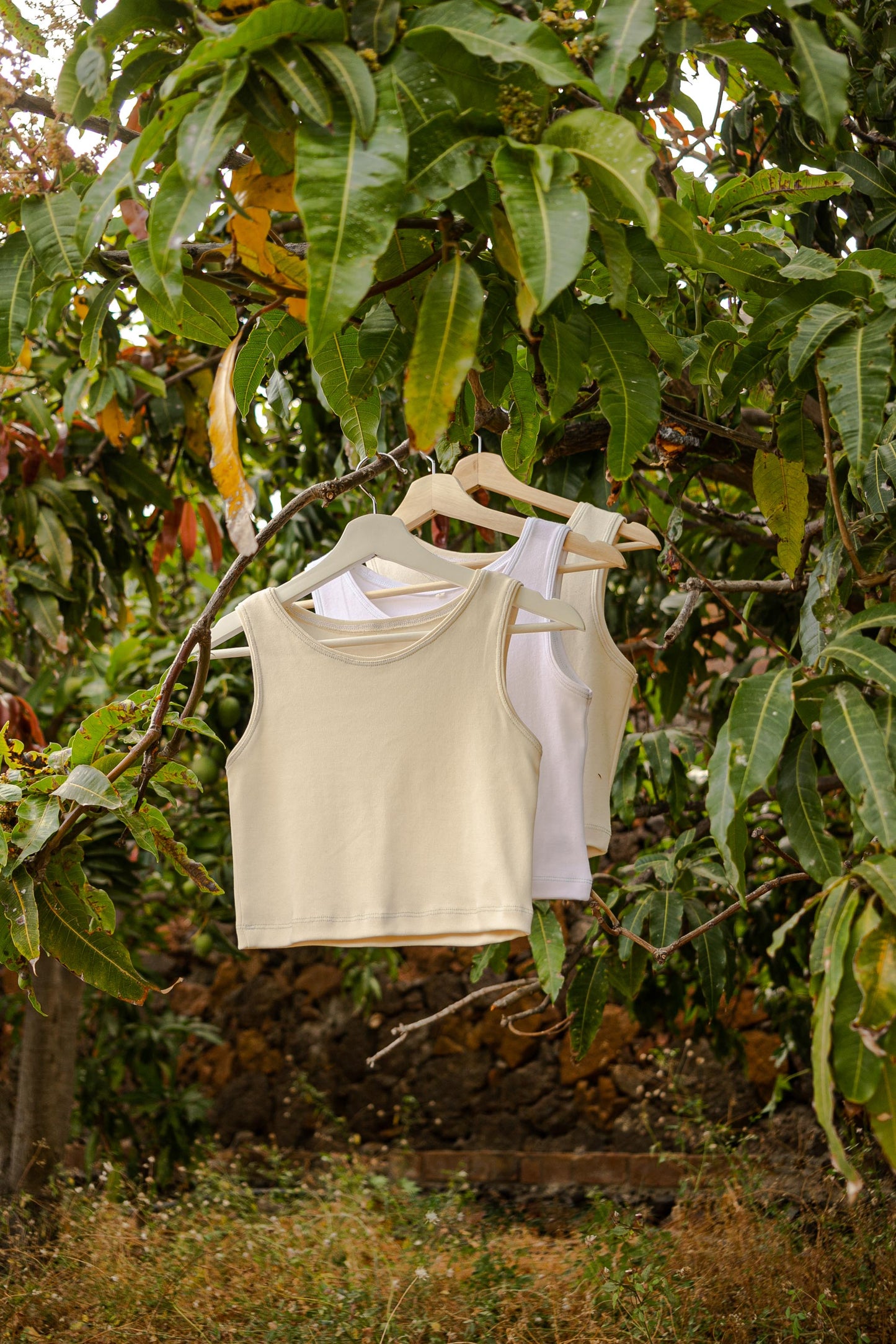 MIA Moda Regenerativa Tops S / ribbing Top Casual - blanco y ribbing