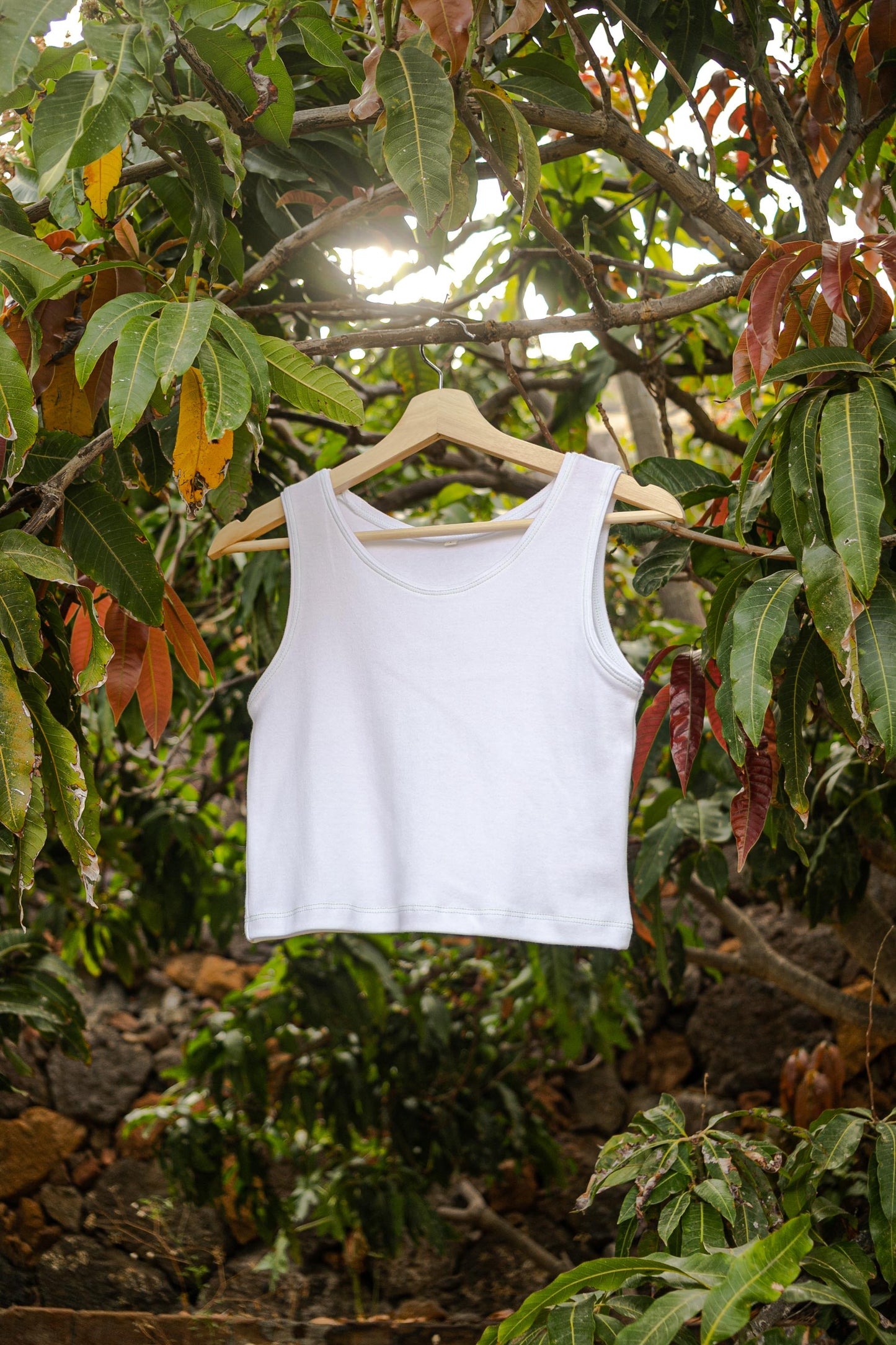 MIA Moda Regenerativa Tops XL / blanco Top Casual - blanco y ribbing