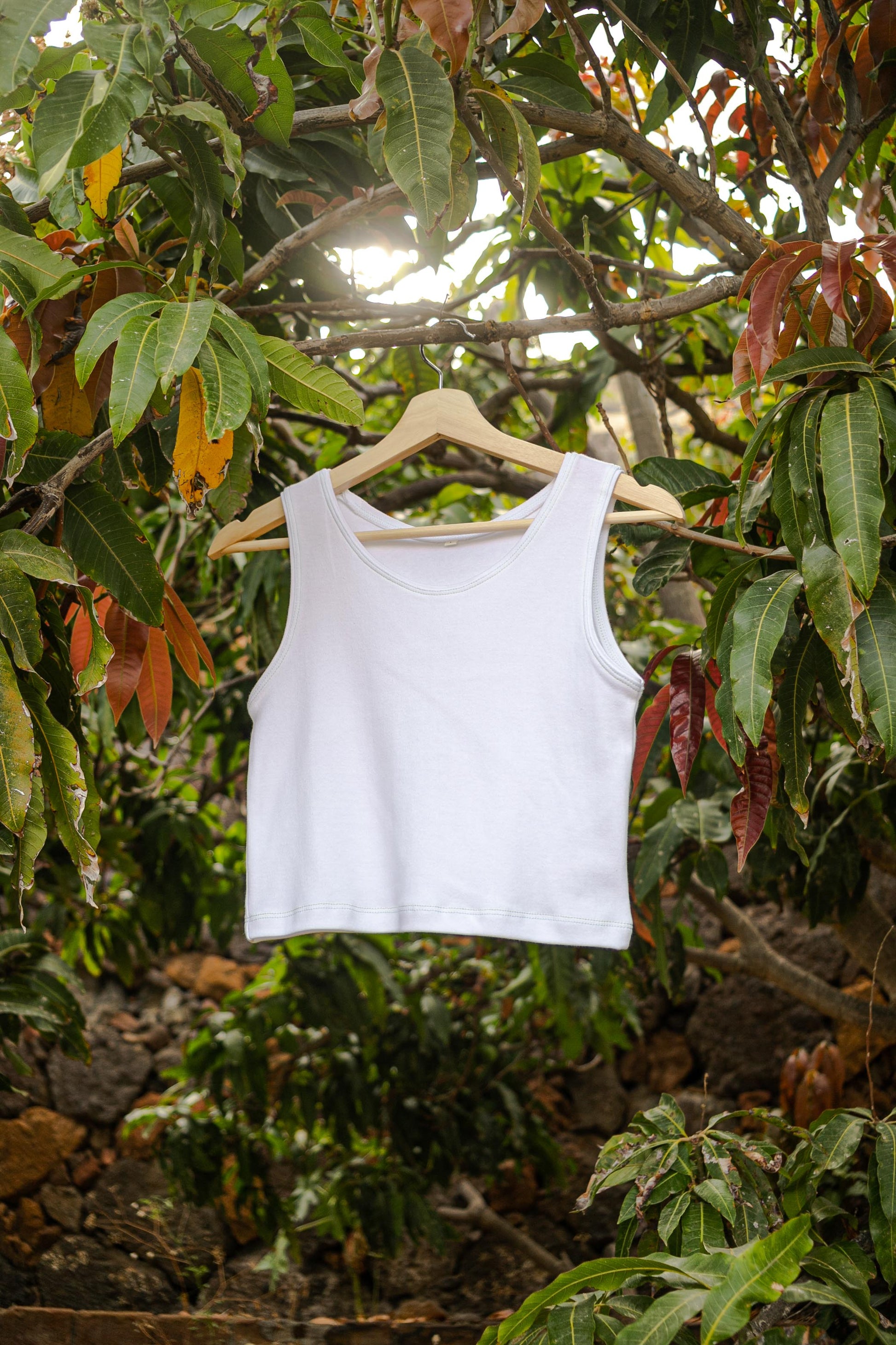 MIA Moda Regenerativa Tops XL / blanco Top Casual - blanco y ribbing